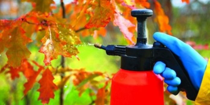 Як обробити сад восени Як обробити сад восени