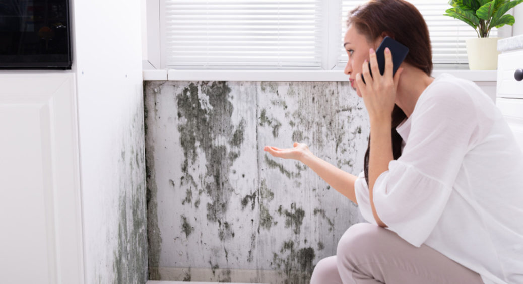 Як позбутися цвілі на кухні: місця, які негайно потрібно прибрати 