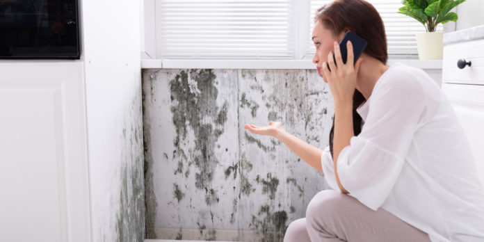 Як позбутися цвілі на кухні Як позбутися цвілі на кухні