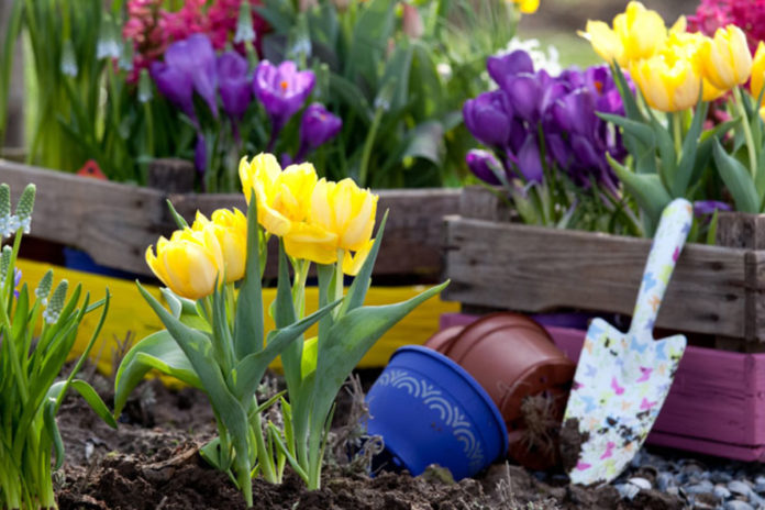 Осінні посадки Осінні посадки