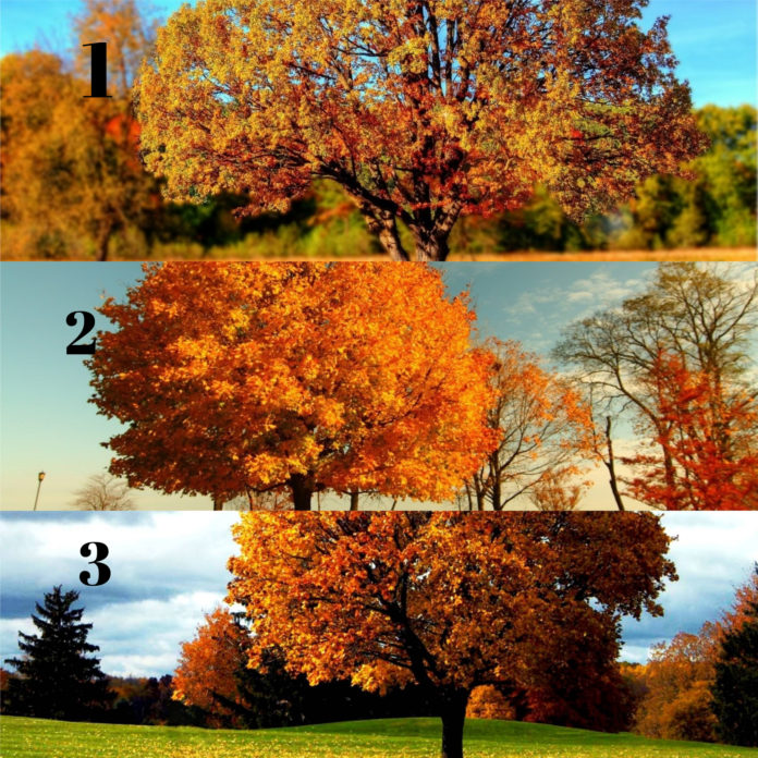 Психологічний тест