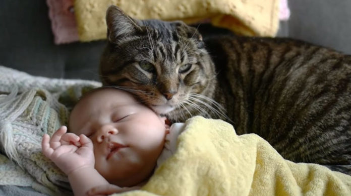 Друзі Друзі