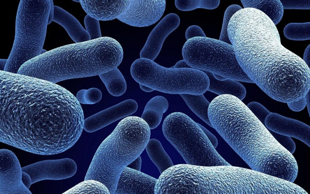 Бактерії, стійкі до антибіотиків