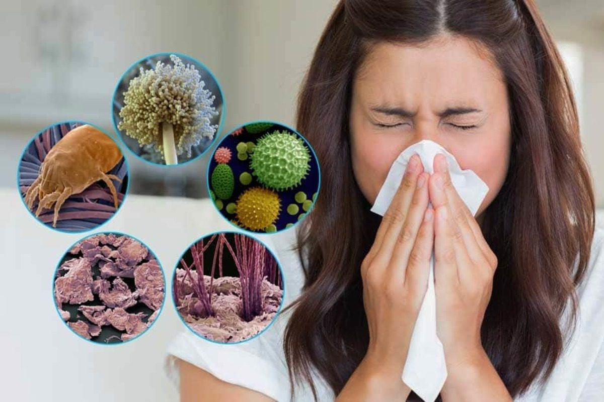 Які речі дома викликають алергію