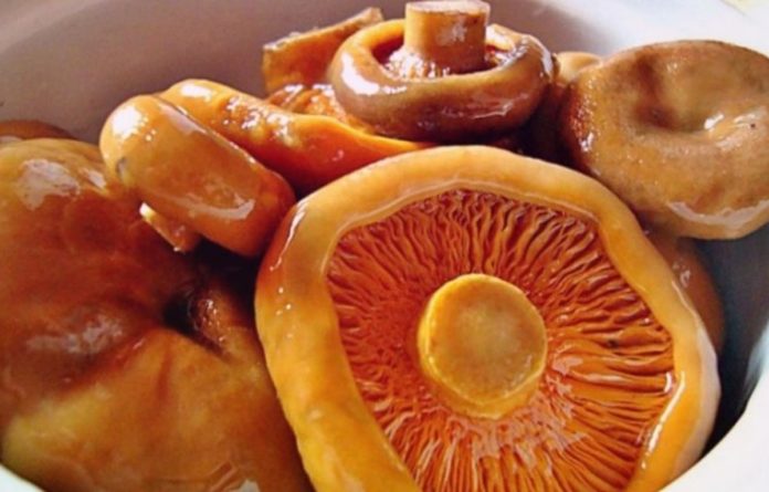 Рижики на зиму