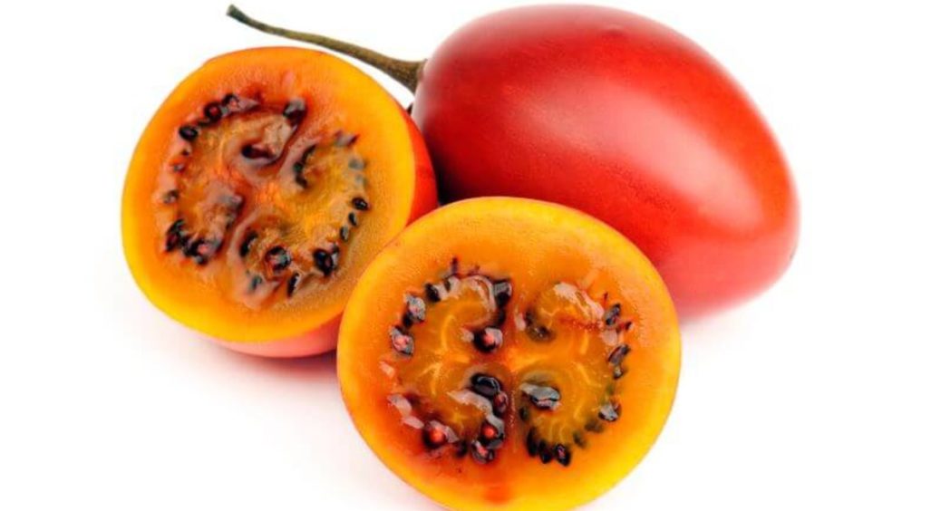 5 незвичайних рослин, які можна виростити на вашій ділянці: таких точно немає у сусідів 