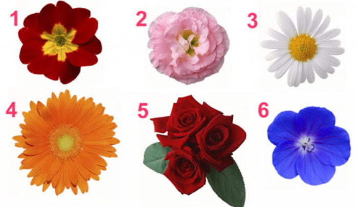 Оберіть квітку і дізнайтесь про що вона розкаже