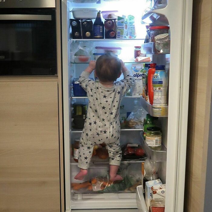 У пошуках їжі в холодильнику 