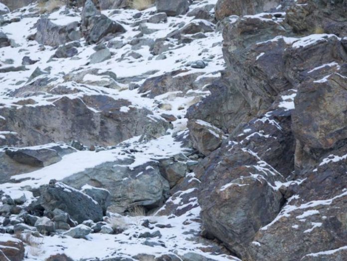 Тест на уважність