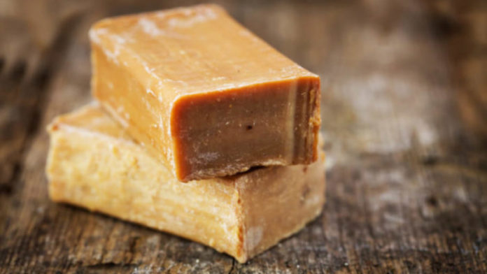 Господарське мило проти шкідників