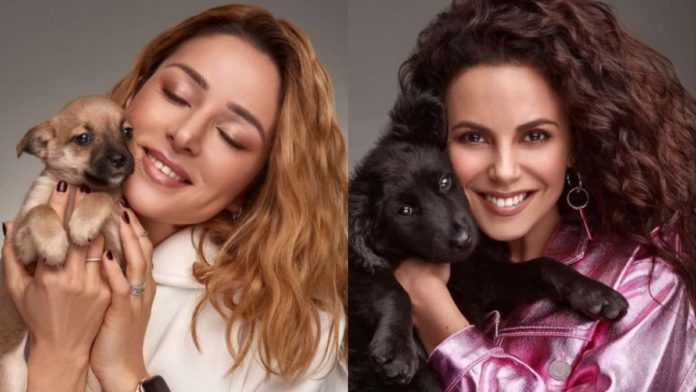 Фотосесія направлена заради промоції підтримки тварин