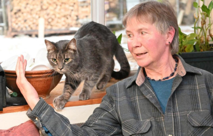 Кіт, який повернувся на річницю смерті господаря