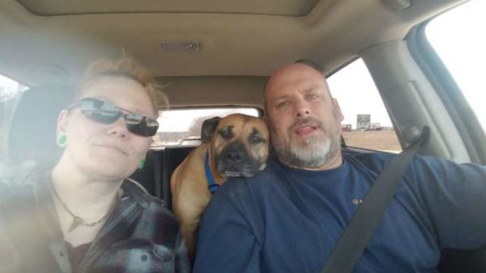 Несподіваний гість у машині Несподіваний гість у машині