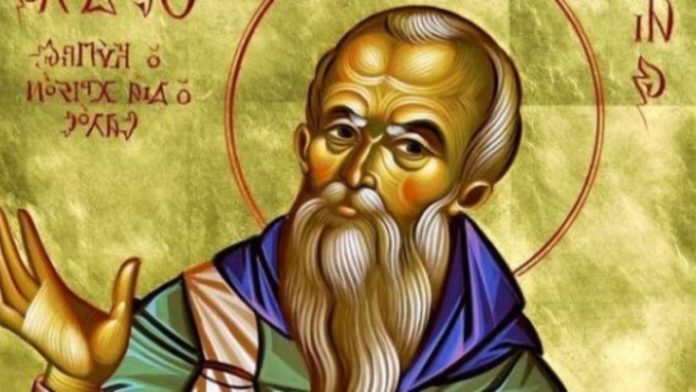 Федула Зимовий