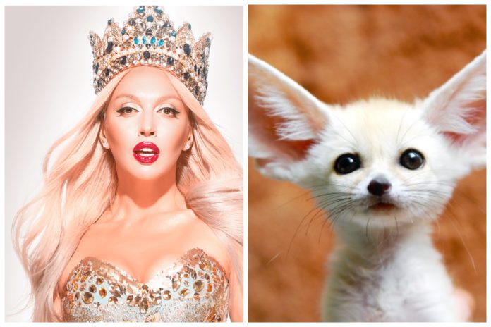 Оля Полякова ризикує репутацією