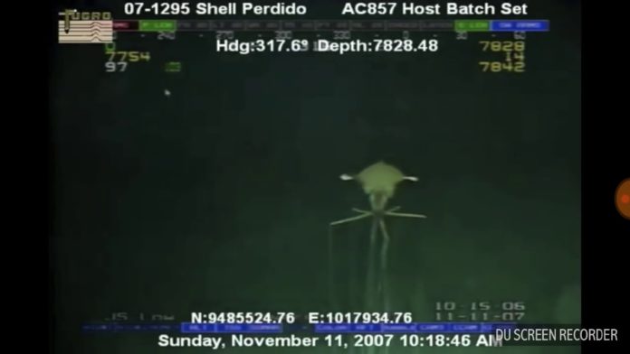 Магнапінна Магнапінна