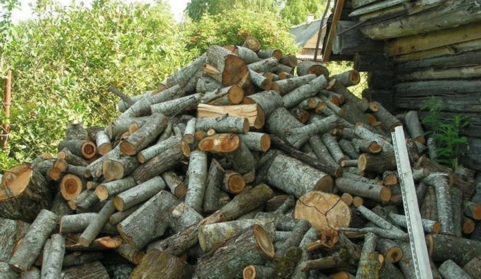 Тест на уважність — відшукайте кота на фото