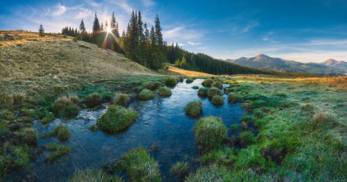 Український пейзаж Український пейзаж