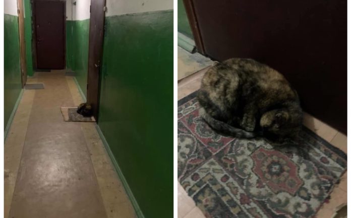 Фото героїні статті.