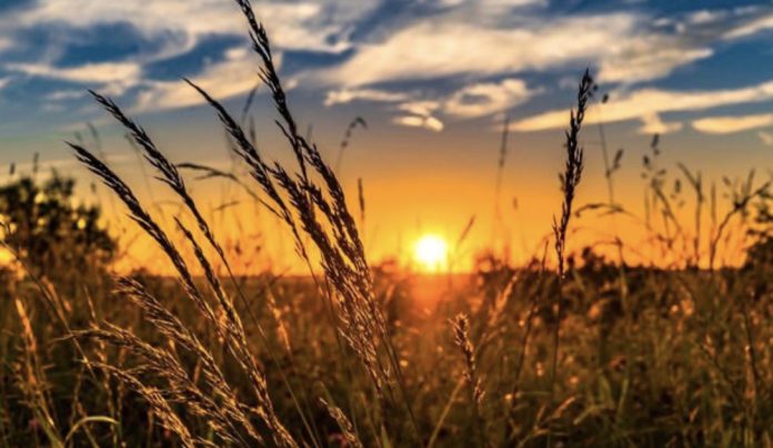 Фото взяте на просторах мережі. 