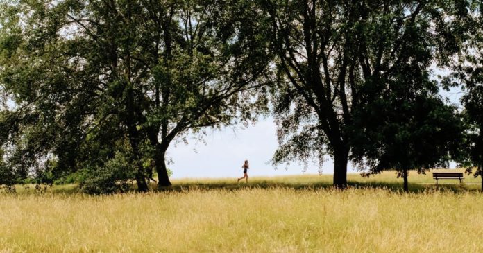 Погода. Українські краєвиди.