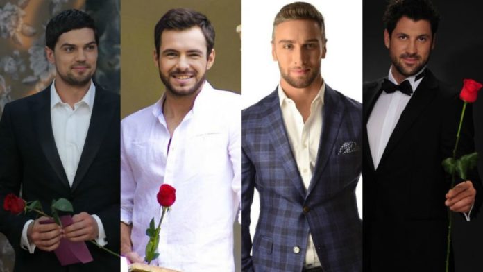 Як зараз виглядають та чим займаються усі переможниці Холостяка