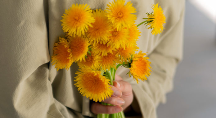 Звідки в українській мові взялося слово дякую