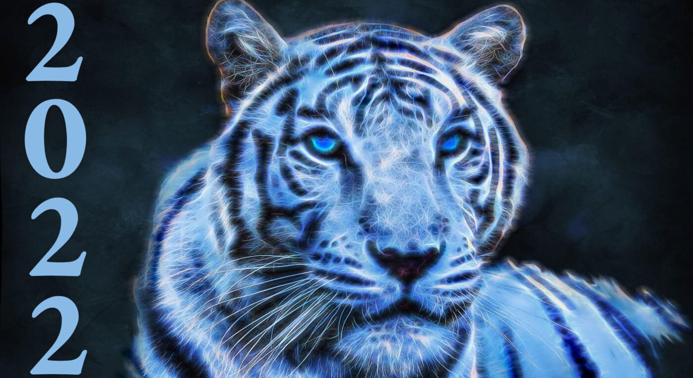 Що обіцяє Синій Водяний Тигр за китайським гороскопом на 2022 рік