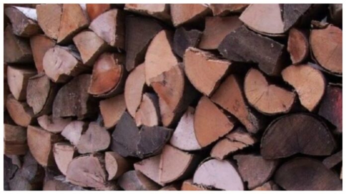 Де мишеня? Де мишеня?