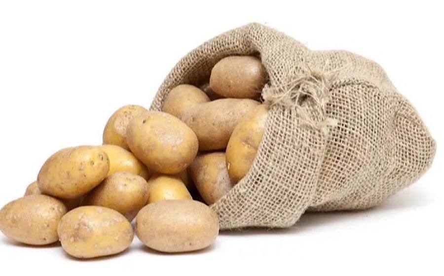 Як зберегти картоплю у льоху