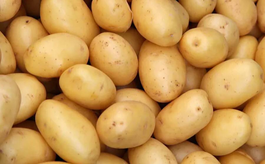 Що робити, якщо картопля проростає