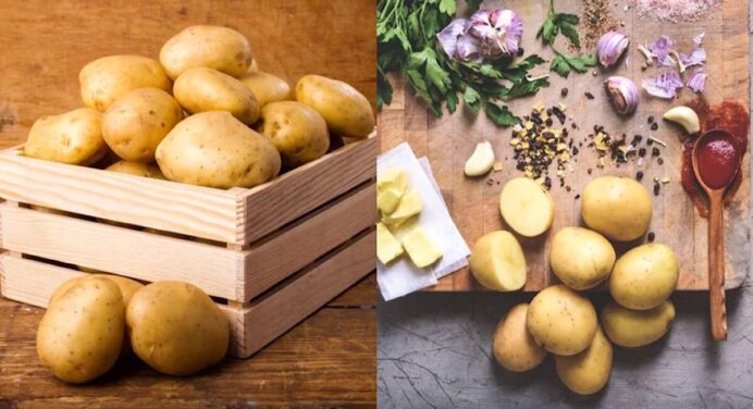 Деруни будуть ідеальні: як зберегти картоплю до весни в квартирі, щоб вона не проростала – дієві поради 