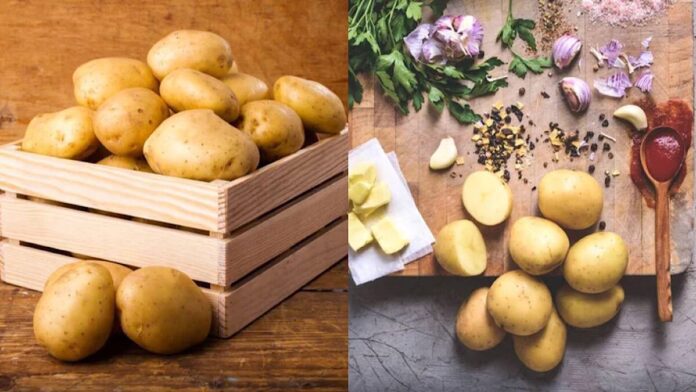 Корисні поради, як зберегти картоплю до весни