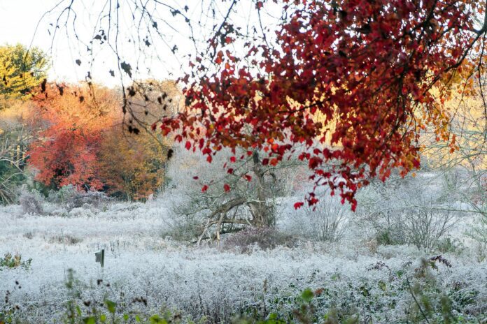 Церковне свято 26 листопада 2022 року: що можна і не можна робити