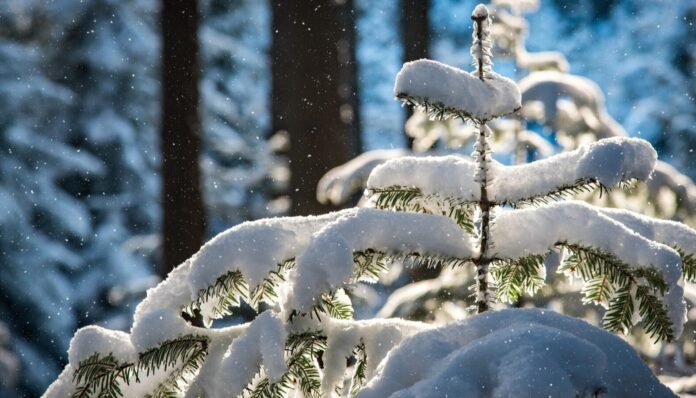 Церковне свято 4 грудня 2022 року: що можна і не можна робити