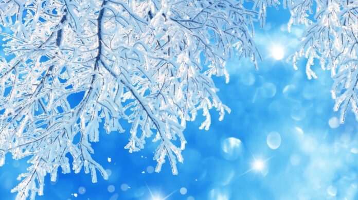 Церковне свято 10 грудня 2022 року: що можна і не можна робити в день ікони Божої Матері Церковне свято 10 грудня 2022 року: що можна і не можна робити в день ікони Божої Матері