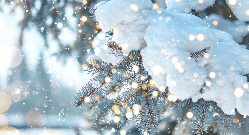 Церковне свято 12 грудня 2022 року: що можна і не можна робити в день пам’яті мученика Парамона 