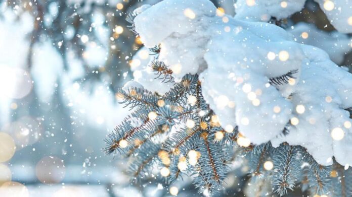 Церковне свято 12 грудня 2022 року: що можна і не можна робити в день пам'яті мученика Парамона Церковне свято 12 грудня 2022 року: що можна і не можна робити в день пам'яті мученика Парамона