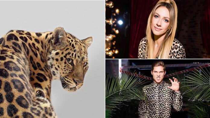 Українські зірки влаштували леопардову забастовку