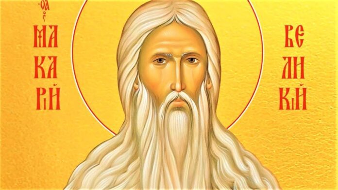1 лютого - Макарія Великого