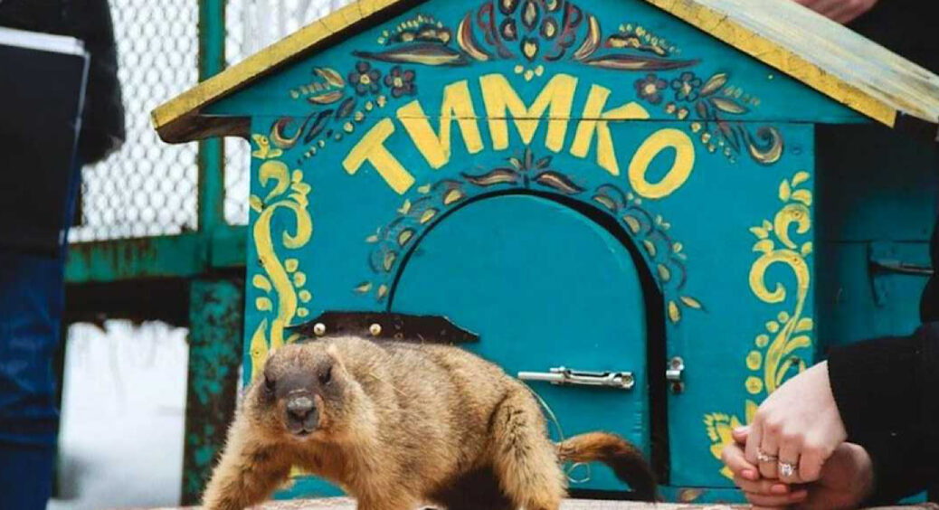 “Буде тепло”: Харківський бабак Тимко ІІІ передбачив, коли прийде справжня весна у 2023 році 