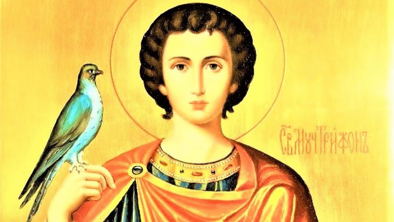 Яке свято 14 лютого?