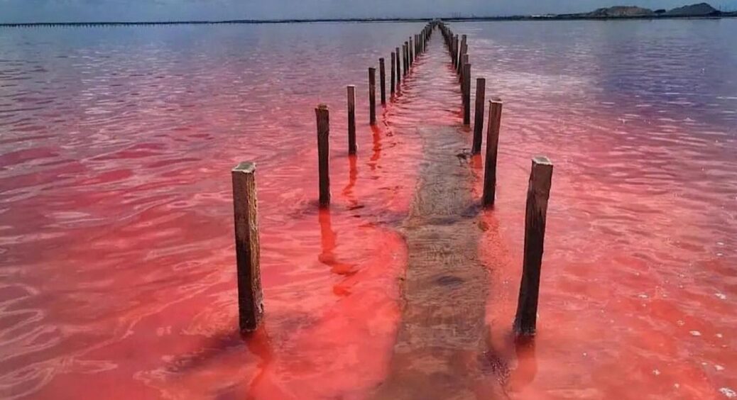 Реальна мрія українських Барбі: історія рожевого озера, яку не розповідав навіть Андрій Бєдняков 