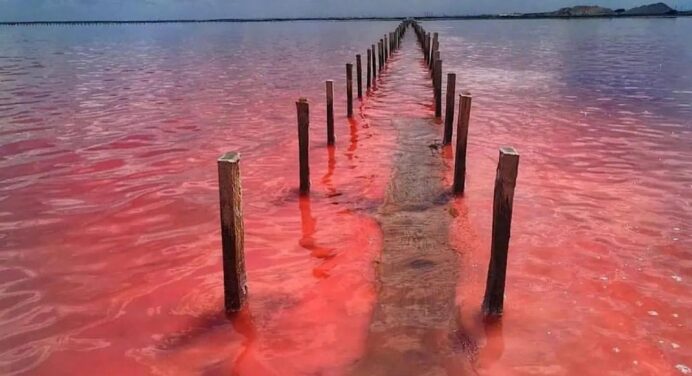 Реальна мрія українських Барбі: історія рожевого озера, яку не розповідав навіть Андрій Бєдняков 
