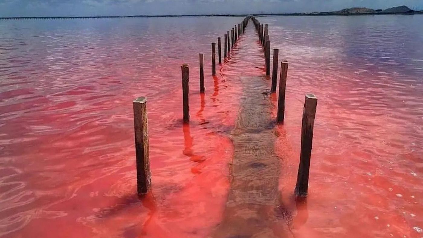 Українське Рожеве озеро 