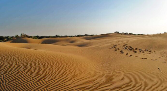 Українська пустеля – це реальність: історія Олешківських пісків, яку не розповідав навіть Дмитро Комаров 