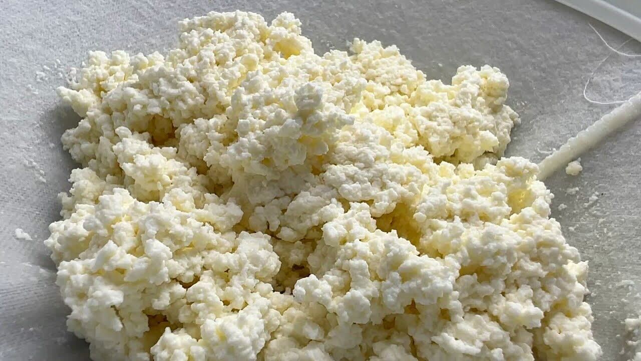 Як правильно зберігати кисломолочний сир, щоб довго був свіжим