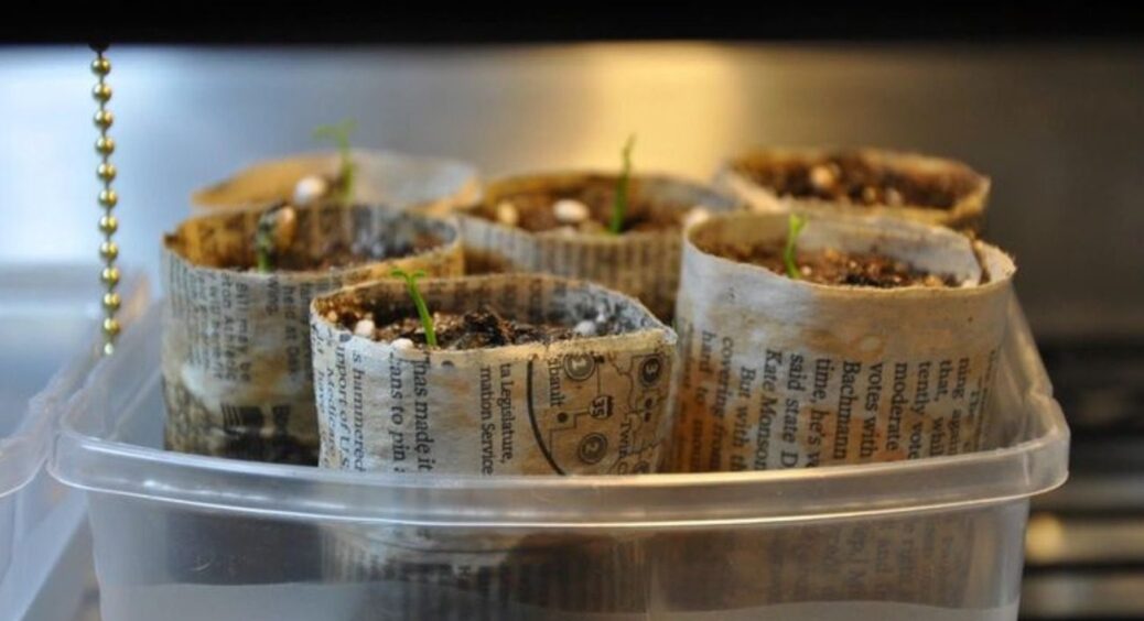 Не викидайте баночки від сметани: хитрі господині знайшли їм 8 сенсаційних способів застосування в побуті 