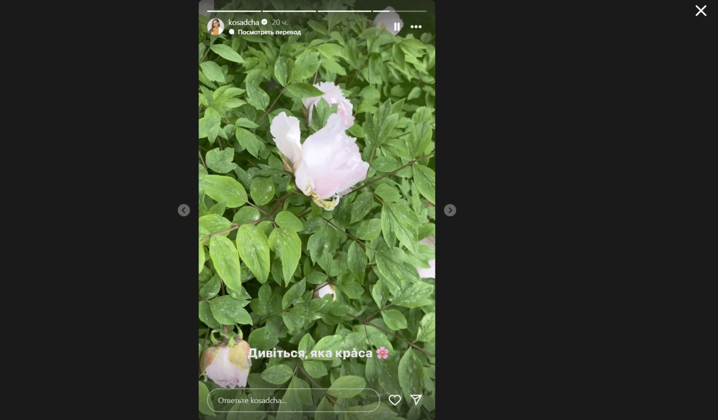 У Мережі з'явилося відео, як Горбунов ляскає Осадчу