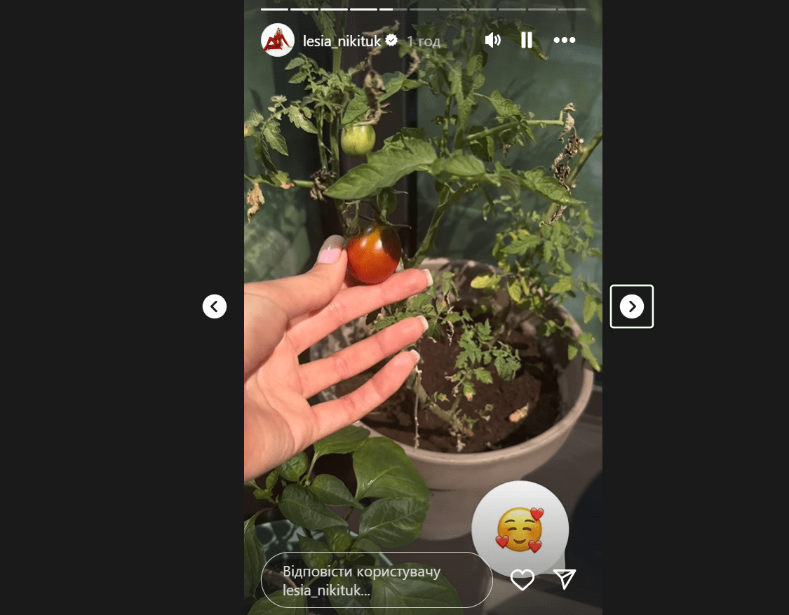 Леся Нікітюк показала врожай, який виростила на балконі своєї квартири